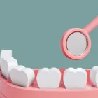 プライバシーポリシー